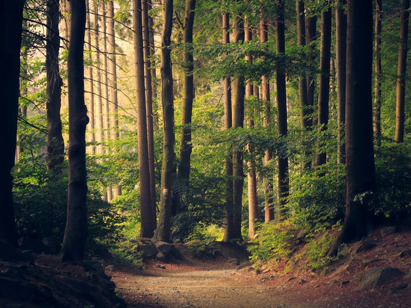 Why Strategy Must Now Be ESG Aligned