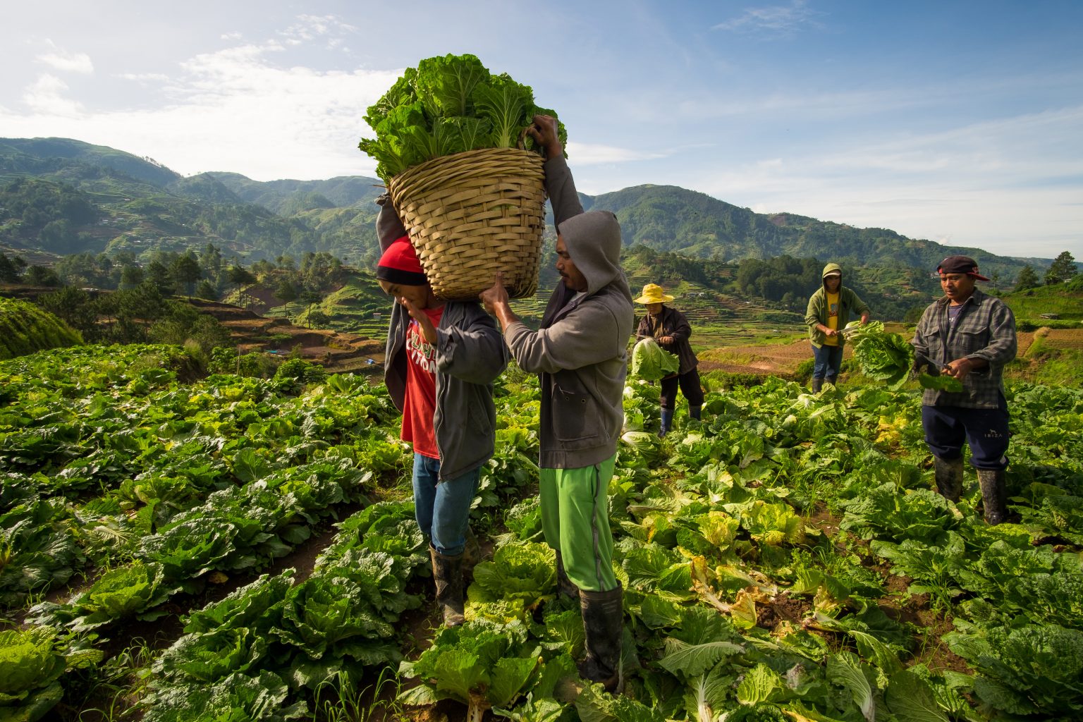 Why Strategy Must Now Be ESG Aligned